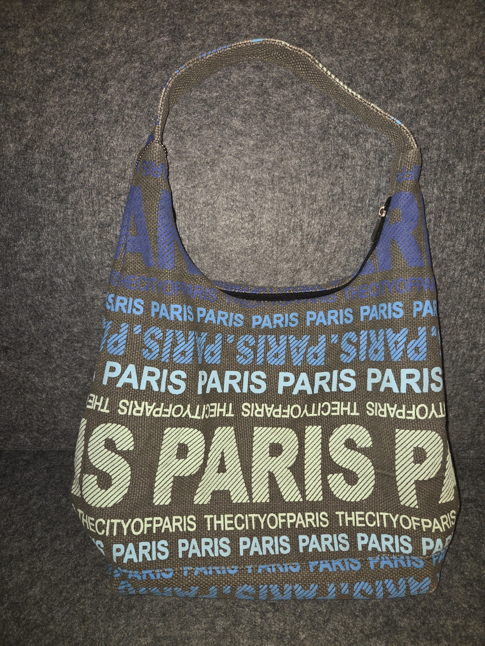 Robin Ruth Paris Logo Hobo Bag in Brown, Blue, Cream